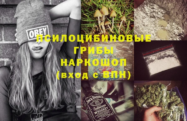 стаф Алзамай