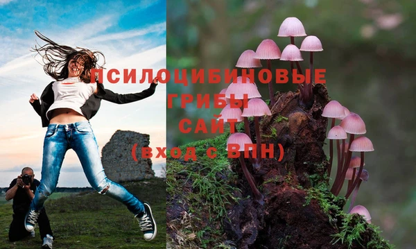 хмурый Алексеевка