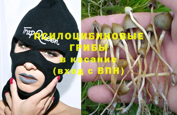 не бодяженный Лабытнанги